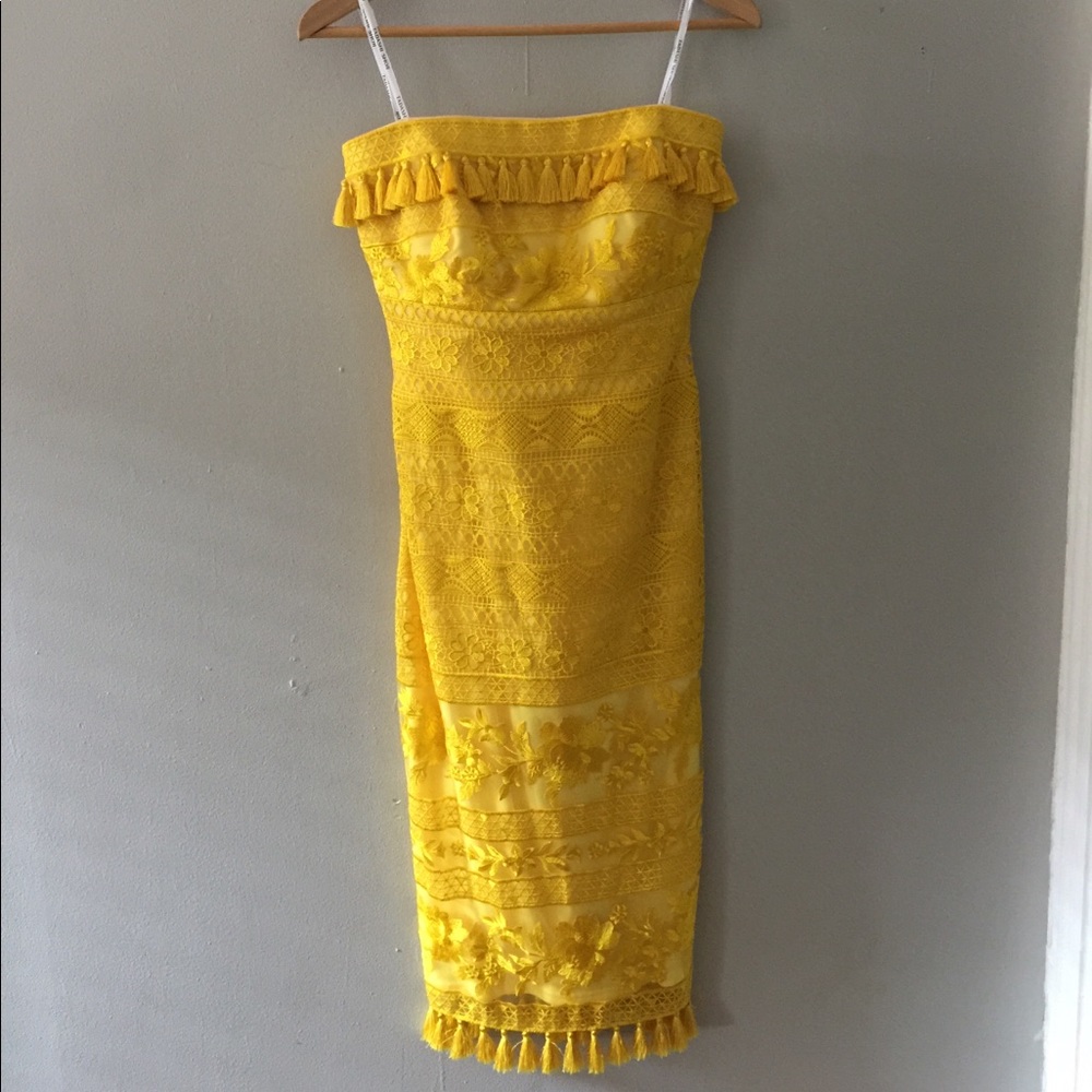 Tadashi Shoji Sol strapless tassel trim dress